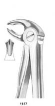  Fig. 22 lower molars 